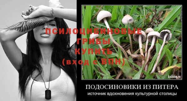 эйфоретик Осташков