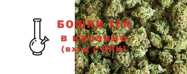 эйфоретик Осташков