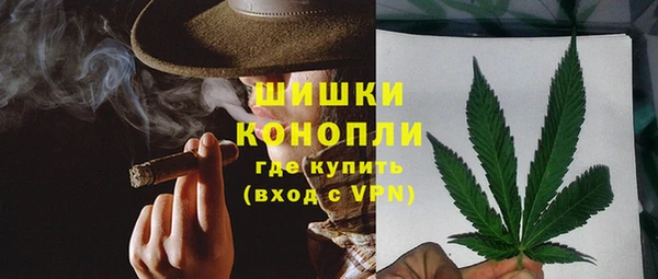мдпв Осинники