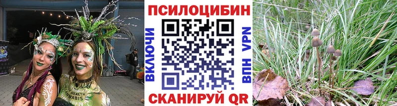 как найти закладки Лесозаводск Галлюциногенные грибы Psilocybe