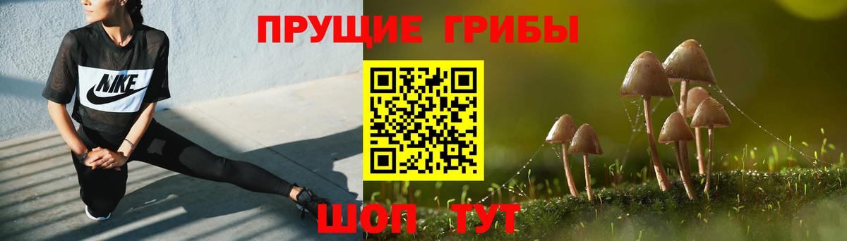 Лесозаводск  где купить наркоту  Вход с VPN  Псилоцибиновые грибы Magic Shrooms 